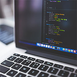 红杏直播独家揭秘：彩蛋全解析