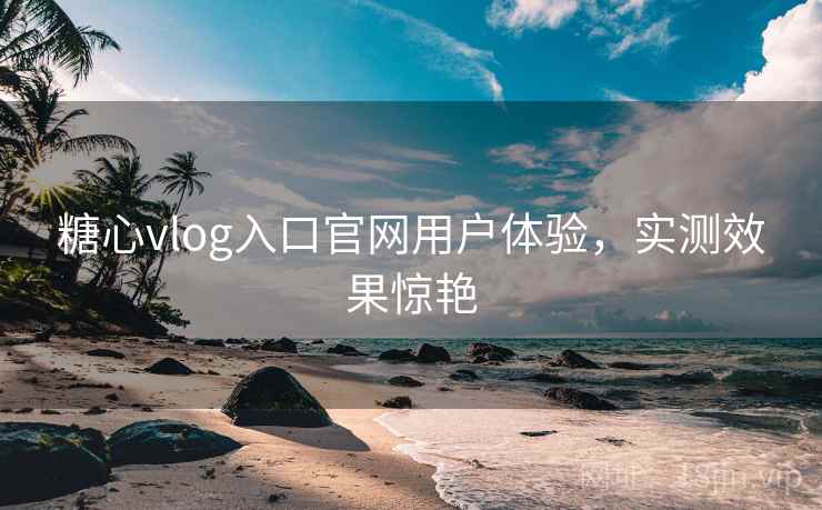 糖心vlog入口官网用户体验,实测效果惊艳
