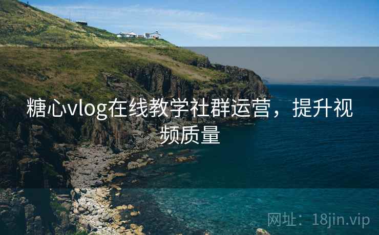 糖心vlog在线教学社群运营,提升视频质量