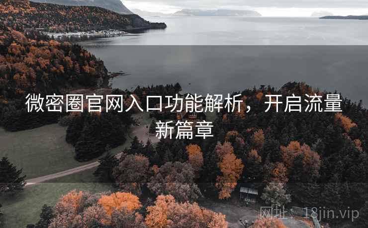 微密圈官网入口功能解析,开启流量新篇章